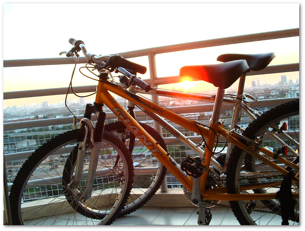 bicycle05